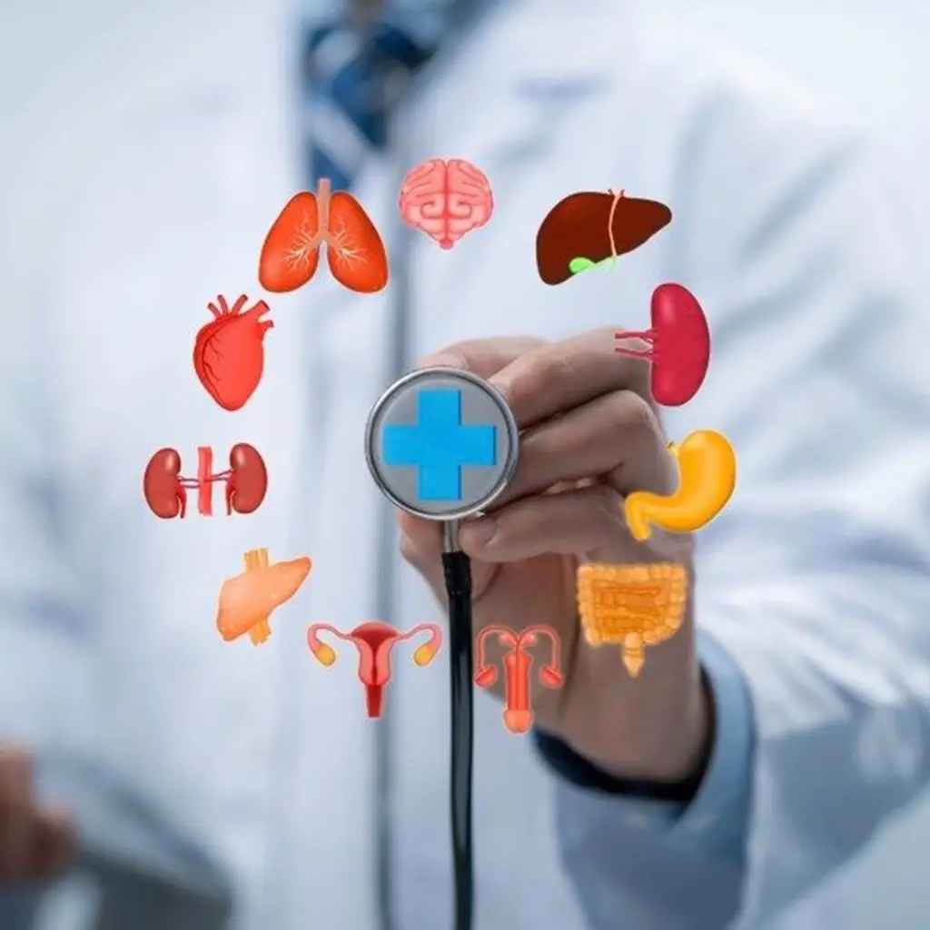 Symbols of internal organs and a Dr